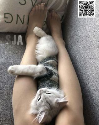 情陷夜中环 电视剧_DVD免费全集观看